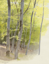 Forest section, 1871. Creator: Carl Theodor Reiffenstein.