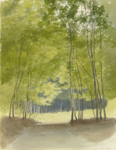 Forest path, 1863. Creator: Carl Theodor Reiffenstein.