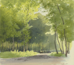 Forest section, 1855. Creator: Carl Theodor Reiffenstein.