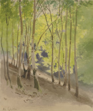 Forest slope, 1856. Creator: Carl Theodor Reiffenstein.