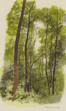 Forest near Konigstein, 1876. Creator: Carl Theodor Reiffenstein.