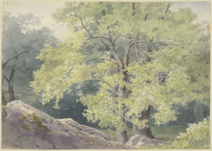 In the forest near Falkenstein, 1877. Creator: Ernst Morgenstern.