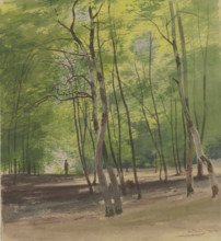 Forest near Braunfels, 1855. Creator: Carl Theodor Reiffenstein.