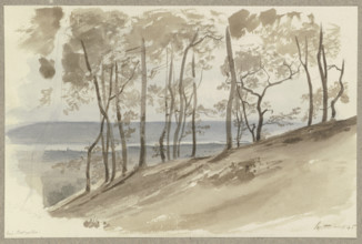 Group of trees on a slope near Hallgarten, the Rhine and a ridge in the background, 1845. Creator: Carl Theodor Reiffenstein.