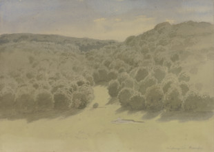 The Muhlengrund near Braunfels, 1854. Creator: Carl Theodor Reiffenstein.