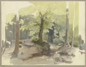 Forest path in the Ilse Valley in the Harz Mountains, c1844. Creator: Carl Theodor Reiffenstein.