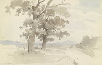 Tree-lined path through a plain near Blankenburg in the Harz Mountains, c1844. Creator: Carl Theodor Reiffenstein.