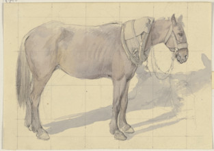 Bridled horse, c1830-1872. Creator: Jakob Becker.