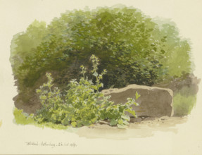 A plant next to a stone block, with bushes behind it, 1869. Creator: Carl Theodor Reiffenstein.