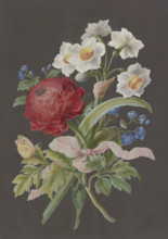 Arrangement of red ranunculus (Ranunculus), white tazetta (Narcissus tazetta)..., c18th century. Creator: Unknown.