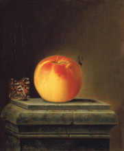 Still Life with Apple and Insects, 1765. Creator: Justus Juncker.