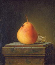 Still Life with Pear and Insects, 1765. Creator: Justus Juncker.