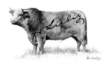 Branding Cattle, 1898. Creator: Unknown.