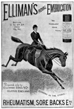 Advertisement for Elliman's Royal Embrocation, 1898. Creator: Unknown.