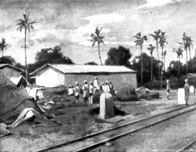 Reinforcements for Uganda: arrival of an Indian Contingent at Mombasa - regimental store on..., 1898 Creator: George Montbard.