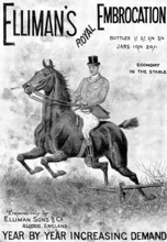 Advertisement for Elliman's Royal Embrocation, 1898. Creator: Unknown.