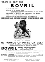 Advertisement for Bovril, 1898. Creator: Unknown.