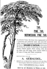 Advertisement for Géraudel's Pastilles, 1898. Creator: Unknown.