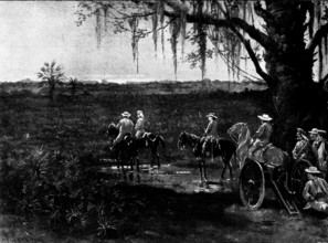 The Spanish-American War: the deadly Palmetto Swamps of Cuba, 1898. Creator: Unknown.