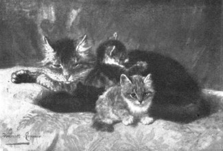 Pictures from the Royal Academy: Memories and Anticipations - Henriette Ronner, 1898. Creators: Unknown, Henriette Ronner.