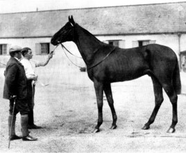 Galtee More, bought by the Russian government for £21,000, 1898. Creator: Clarence Hailey.