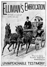 Advertisement for Elliman's Embrocation, 1898. Creator: Unknown.