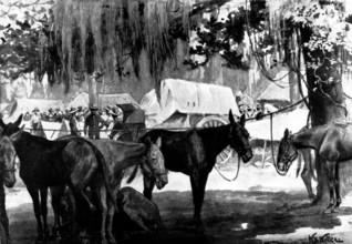 The Spanish-American War:...United States Mobilisation at Tampa: picket line and wagon train, 1898. Creator: Unknown.