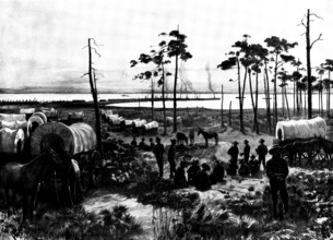 The Spanish-American War: the United States camp at Tampa Harbour, 1898. Creator: Unknown.