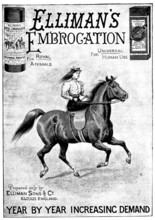 Advertisement for Elliman's Embrocation, 1898. Creator: Unknown.
