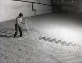 Glenlivet Distillery, Scotland, c1955. Creator: Arthur Charles Kirby Ware.