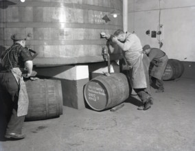 Glenlivet Distillery, Scotland, c1955. Creator: Arthur Charles Kirby Ware.