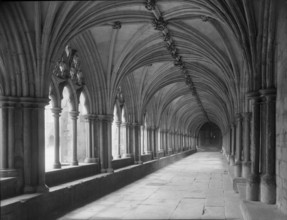 The Cloisters, Norwich Cathedral, Norfolk, c1955. Creator: Arthur Charles Kirby Ware.