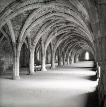 The Cellarium, Fountains Abbey, Yorkshire, c1955.  Creator: Arthur Charles Kirby Ware.