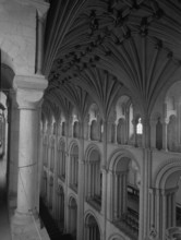 Vaulted ceiling, Norwich Cathedral, Norfolk, c1955.  Creator: Arthur Charles Kirby Ware.