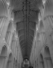 Vaulted ceiling, Norwich Cathedral, Norfolk, c1955.  Creator: Arthur Charles Kirby Ware.