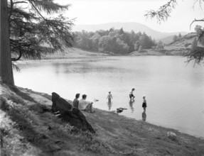 Tarn Hows, Lake District, c1955. Creator: Arthur Charles Kirby Ware.