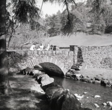 Grisedale, Lake District, c1955. Creator: Arthur Charles Kirby Ware.