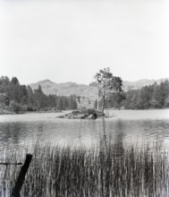 Tarn Hows, Lake District, c1955. Creator: Arthur Charles Kirby Ware.