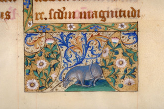Unicorn (Ornament). Missale Tolosanum, 1400-1449. Creator: Anonymous.