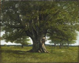 The Oak of Flagey (also known as the Oak of Vercingetorix, Caesar's camp near Alesia), 1864. Creator: Courbet, Gustave (1819-1877).