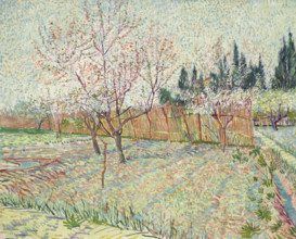 Orchard with cypresses, 1888. Creator: Gogh, Vincent, van (1853-1890).