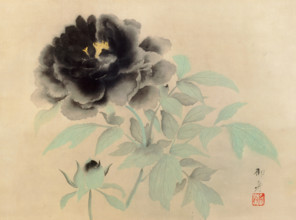 Black Peonies, 1934. Creator: Gyoshu, Hayami (1894-1935).