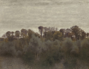 Summer Lanscape, 1895. Creator: Hammershøi, Vilhelm (1864-1916).