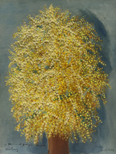 Mimosas, 1942. Creator: Kisling, Moïse (1891-1953).