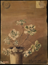 Succulent plant, 1886. Creator: Kiyohara, Tama (O'Tama), (Eleonora Ragusa) (1861-1939).