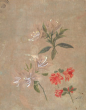 Three groups of flowers, 1886. Creator: Kiyohara, Tama (O'Tama), (Eleonora Ragusa) (1861-1939).