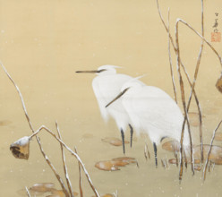 Two cranes in the snow. Creator: Koka, Maeda (1847-1916).