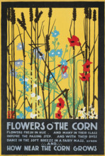 Flowers O' The Corn, 1920. Creator: McKnight Kauffer, Edward (1890-1954).