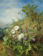 Wild flowers at the corner of a cornfield. Creator: Mutrie, Martha Darley (1824-1885).