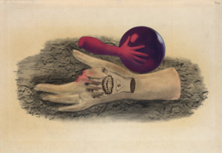 Hand, 1940. Creator: Styrsky, Jindrich (1899-1942).